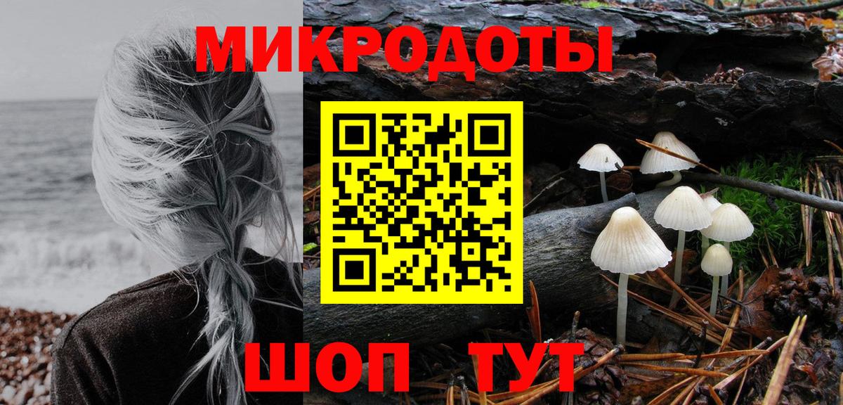 Сосновый Бор  Галлюциногенные грибы мицелий  Вход с VPN 