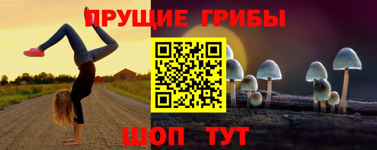 Галлюциногенные грибы Cubensis Сосновый Бор